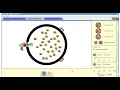 PHY LAB - Simulation about Nuclear Fission