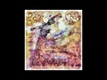 Hossein Behrouzi Nia & Pejman Hadadi - Vajd, Midnight Sun - Rapture