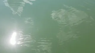 Overture II Sleeping At Last Fan Made Micro Music Video 