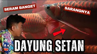 NAGA MERAH DAYUNG SETAN SATU GRONTENG PADA MERAH SEMUA. SADIS SADIS