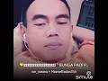 Download Lagu Setakai bunga padi