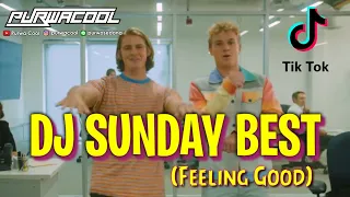 Download DJ Sunday Best (Feeling Good) Remix Tiktok 2020 by DJ PURWACOOL MP3