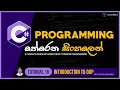 C Sinhala - Tutorial 18 Introduction to OOP