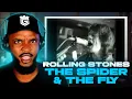 Download Lagu 🎵 Rolling Stones - The Spider \u0026 The Fly REACTION