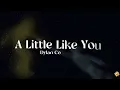 Dylan Conrique - A Little Like You 