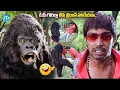 Lagu ఓయ్ గొరిల్లా నీకు బ్రెయిన్ పనిచేయదా.. | Allari Naresh Comedy With Gorilla |@idreamkarimnagar