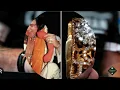Elvis Presly TCB 1