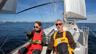 Bushpoint Sailing | This is Us