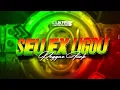 Seu Ex Ligou - Yuri Pedrada, Mc Livinho Reggae Remix Lukas Producer