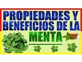 Download Lagu [Menta]Propiedades y Beneficios