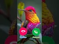 #ringtone #smartphone #music #ringtones