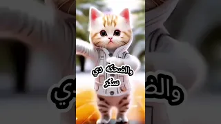 بسملة يا قمر اغنيه باسم بسمله 