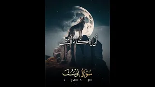 الشيخ السيد سعيد قال إني ليحزنني أن تذهبوا به سورة يوسف 