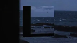 إليسا   لو ما تجي   بدون موسيقى دندنها