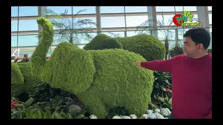 প্লাস্টিক নয়, জীবন্ত সবুজেই বদলে যেতে পারে আমাদের চারপাশ