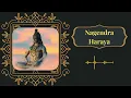 Lagu Nagendra Haraya | Shiva Panchakshara Stotra | Adi Shankaracharya | Shivratri | Naadarpane