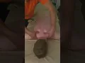 Best massage in Barcelona