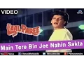Download Lagu Main Tere Bin Jee Nahin Sakta (Laal Paree)
