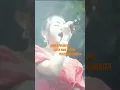 Download Lagu Sabila permata | perasaan wanita  | citra nada reborn
