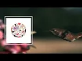 Mike - Ipari Park (Lyrics)