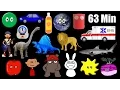 Download Lagu The Best of The Kids' Picture Show - Shapes, Colors, Vehicles \u0026 More