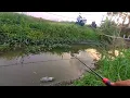 Download Lagu Kok gak dari awal saja saya mancing di parit sebelah sini