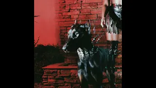 VIBES DON T LIE Leon Thomas Clean 