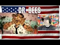 DR BEES - REACTION