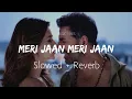 Meri Jaan Meri Jaan – B Praak | ( Slowed + Reverb ) | Textaudio | Music Vibes