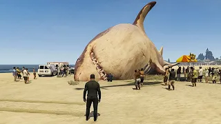 10 reasons the megalodon shark may still exist
