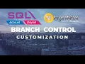 SQL Accounting Software Branch Control Customization