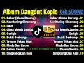 Lagu SABAR (DUH SAYANG) DANGDUT KOPLO TERBARU 2025 | LAGU JAWA TERBARU 2025