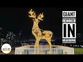 Download Lagu Giant reindeer in Melbourne | Travel Vlog | Saya's Tips