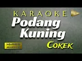 Download Lagu Podang Kuning Karaoke Cokek+Jaiplo set Gamelan Korg Pa600 + Lirik