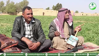 مقطوعة عزف على الربابة وأشعار تراثية من التراث الريفي للحسكة في قرية حلوات 
