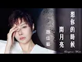 Download Lagu 想你的時候問月亮 Xiang ni de shi hou wen yue liang 魏佳藝  Wei Jia Yi #動態歌詞 Lyrics Music