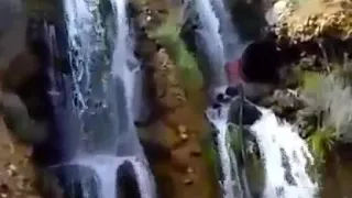 اسمع وابشر يا من تفرح بحمى الهادي دندنها