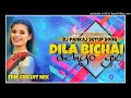 Download Lagu Dila Bichai Deliyo Ge || Edm Circuit Remix || Dj Devil And Dj Jayanta