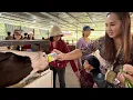 Download Lagu TENGOK LEMBU SEBELUM BALIK KK | MAKAN SABAH SEDAP RASANYA