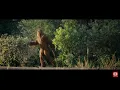 Progressive Bigfoot commercial my name is Darryl