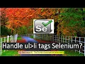 How to Select ul li tags Bootstrap Dropdown in Selenium WebDriver