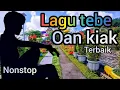 Lagu Kumpulan Lagu Pilihan Oan Kiak (Tebe Timor Leste Paling Menyentuh) - Musik Tradisional Terbaik