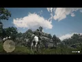 Sketched Map All Locations Treasure Map Red Dead Redemption 2 RDR2