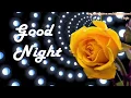 Good Night Gif