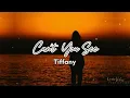 Download Lagu Can't You See - Tiffany (Lyric Video)