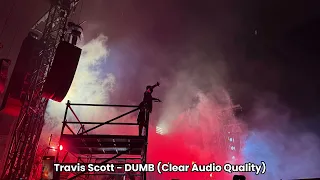 Travis Scott - DUMB Clear Quality