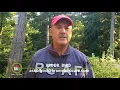 BBN 2 52 - Ask Dr Bird Where Do Birds Go At Night