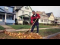 2016 Fall Leaf Collection