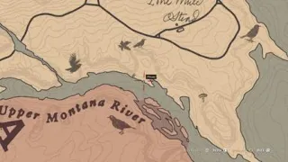 Perfect Cardinal And Woodpecker Same Place Red Dead Redemption 2
