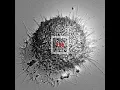100 (feat.Nochang) (100 (feat. Nochang) - Black Nut